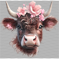 Country music-CM-461